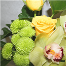 https://bonovo.isisflor.com/fileuploads/Produtos/Composições Florais/thumb__Isisflor_Verde_Natura_02.png
